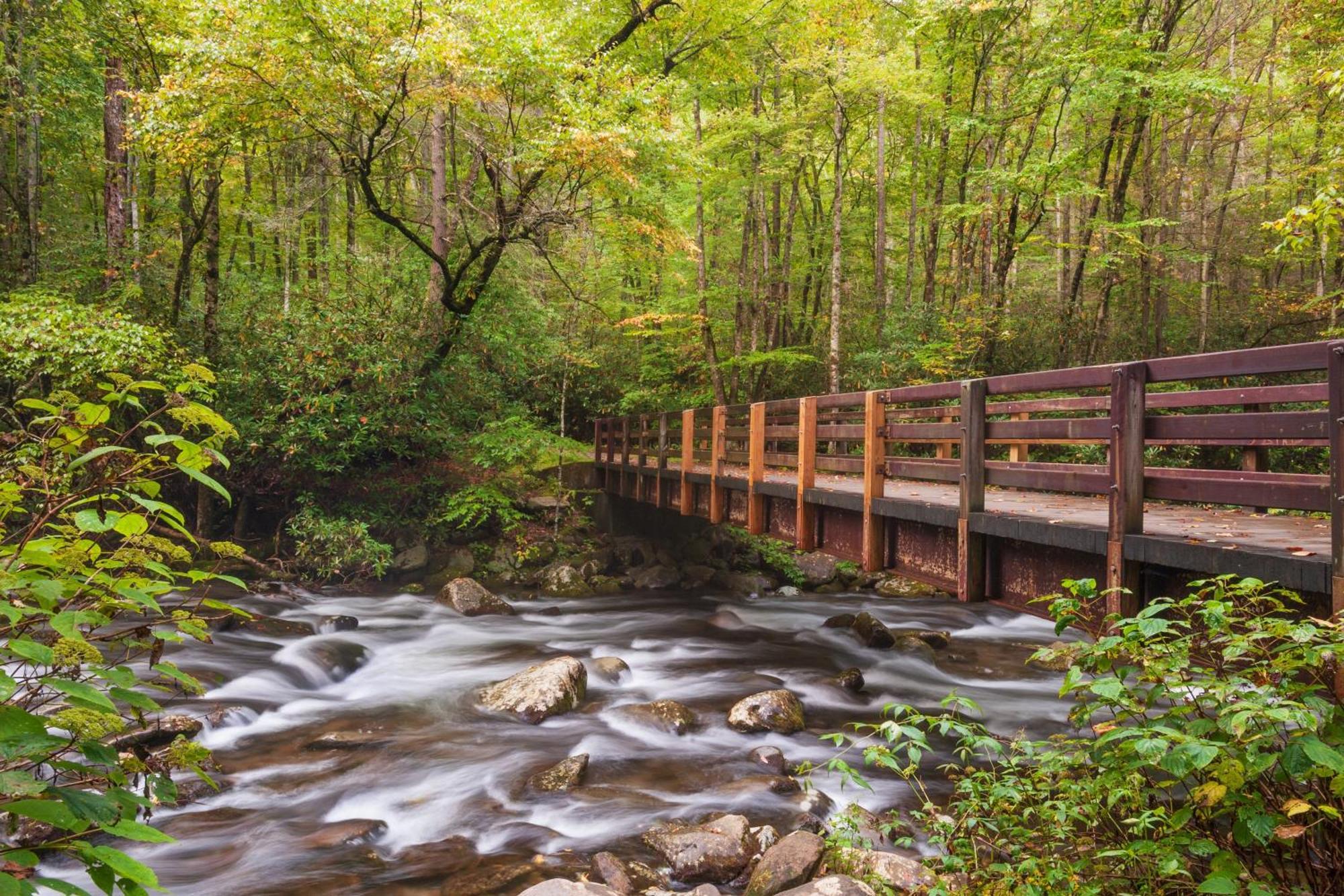 The Mason Jar, Hot Tub, Wifi, 1089 Free Tickets Each Paid Day, Dollywood And More! 비둘기 포지 외부 사진